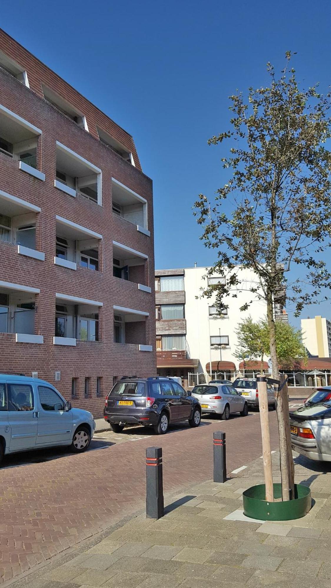 Bella * Noordwijk